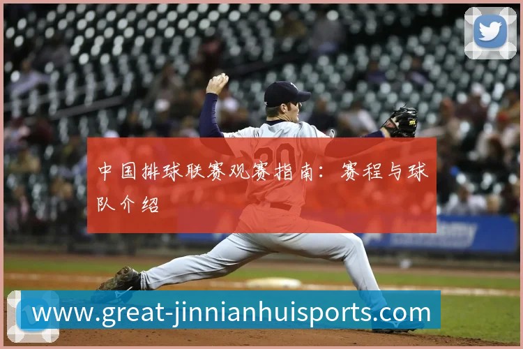 中国排球联赛观赛指南：赛程与球队介绍