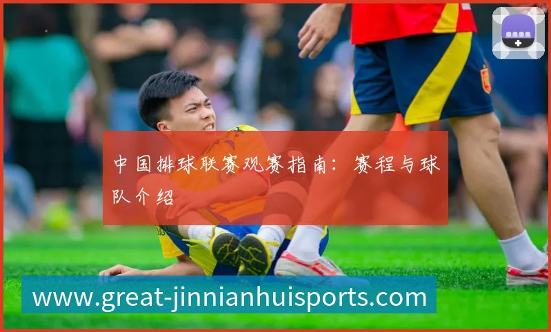 中国排球联赛观赛指南：赛程与球队介绍